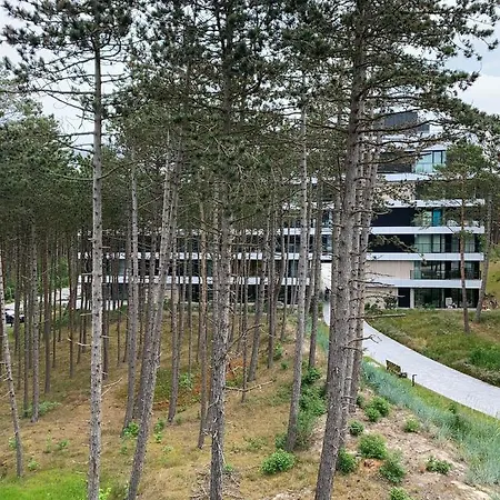 Apartmán Shellter Blue Dune-rogowo *