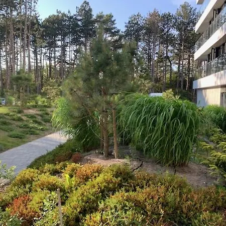 Apartmán Shellter Blue Dune-rogowo *