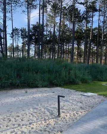 Shellter Blue Dune-rogowo