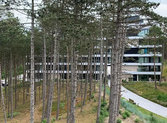 Apartament Shellter Blue Dune-rogowo *