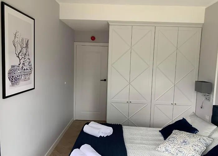 Shellter Blue Dune-rogowo * روغوفو