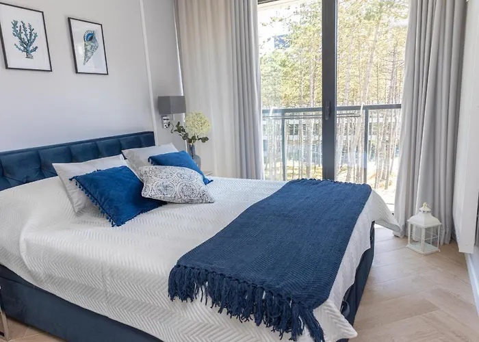 Shellter Blue Dune-rogowo