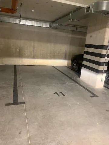 Shellter Blue Dune-rogowo * روغوفو