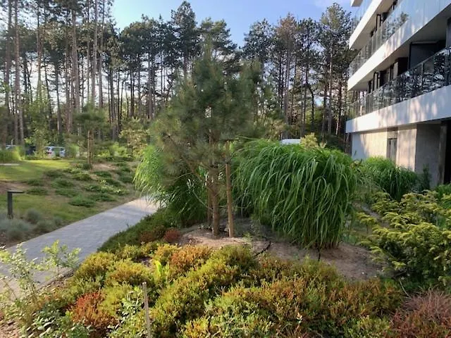 شقة Shellter Blue Dune-rogowo *