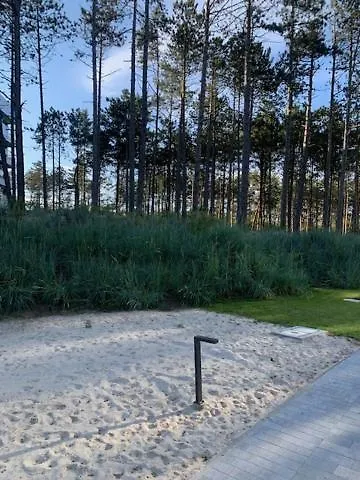 Shellter Blue Dune-rogowo